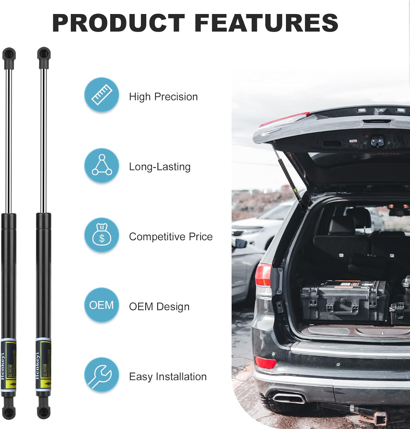 2 Pack Rear Hatch Tailgate Lift Supports Liftgate Shocks Struts for Scion tC 2011-2016 PM3236