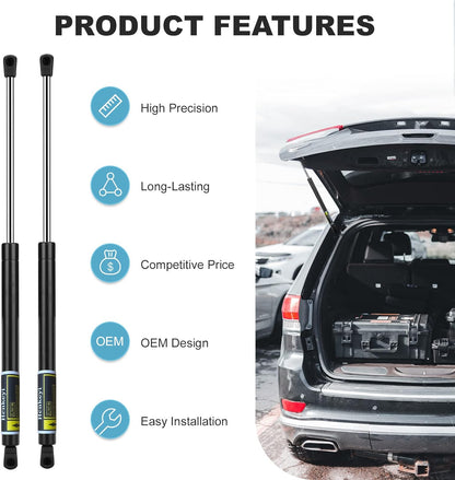 2 Pack Rear Trunk Hatch Lift Supports Shocks Struts for Honda Accord 2010-2011, for Honda Crosstour 2012-2015 PM3266